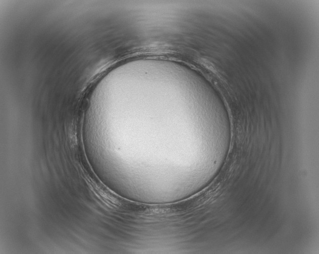 X0000058821451200510171524