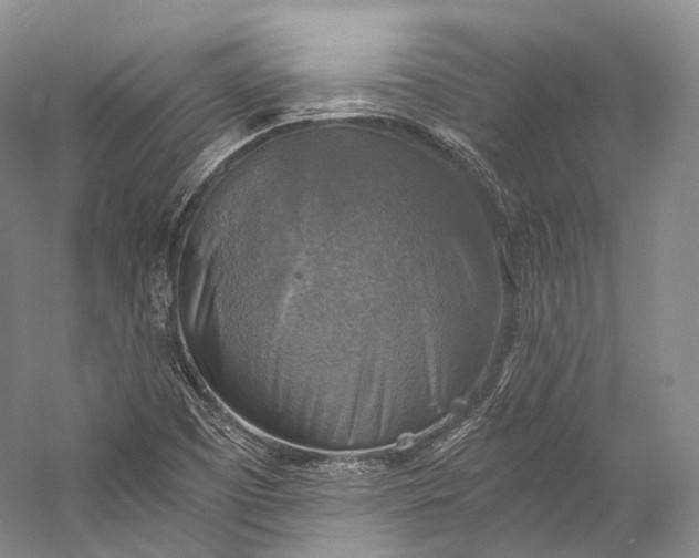 X0000058821457200510171524
