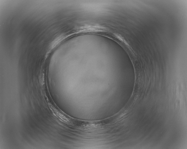 X0000058821459200510171524