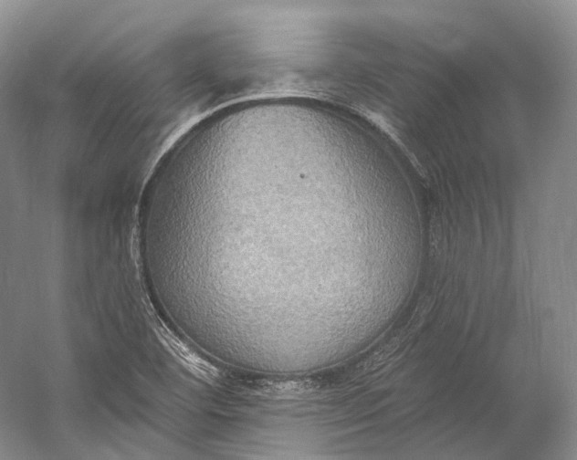 X0000058821460200510171524