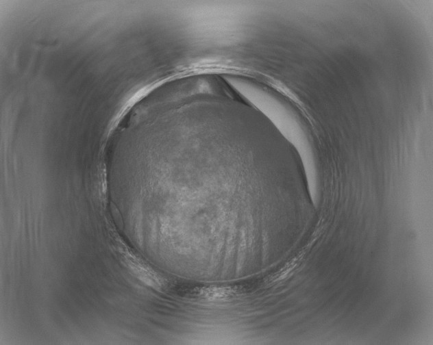 X0000058821461200510171524