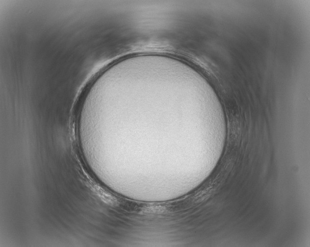 X0000058821462200510171524