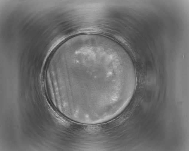 X0000058821466200510171524