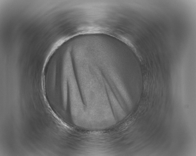 X0000058821472200510171524
