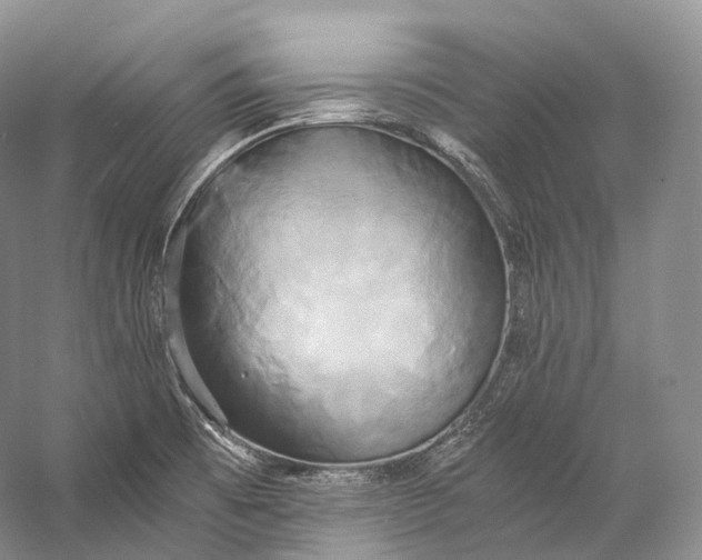 X0000058821473200510171524