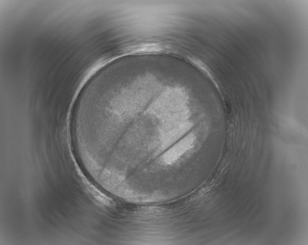 X0000058821475200510171524
