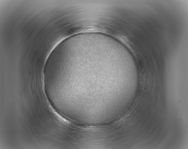 X0000058821476200510171524