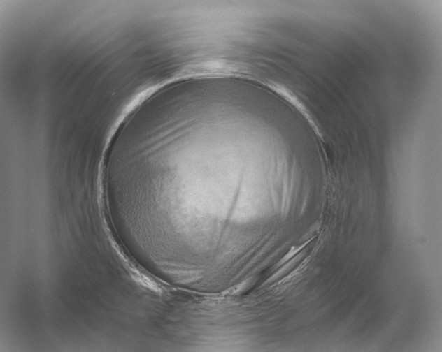 X0000058821477200510171524