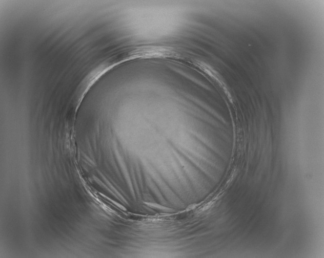 X0000058821481200510171524