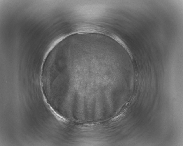 X0000058821485200510171524
