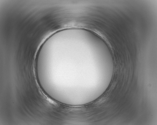 X0000058821486200510171524