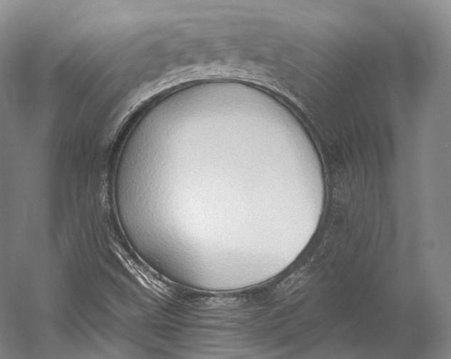 X0000058821499200510171523