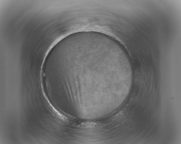 X0000058821517200510171523