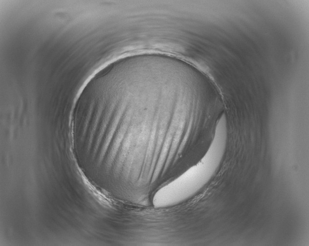 X0000058821524200510171524