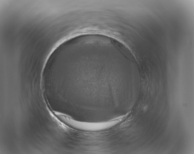 X0000058821527200510171524