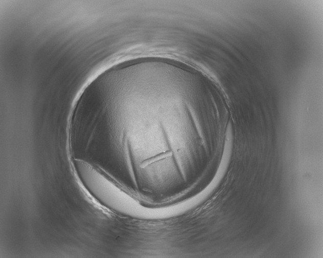 X0000058821528200510171524