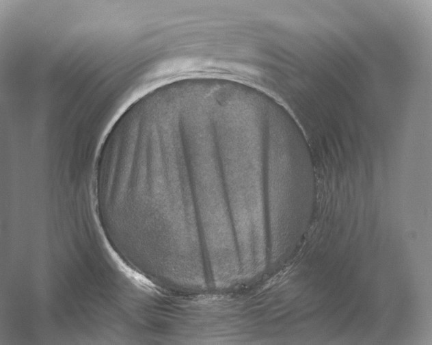 X0000058821531200510171524