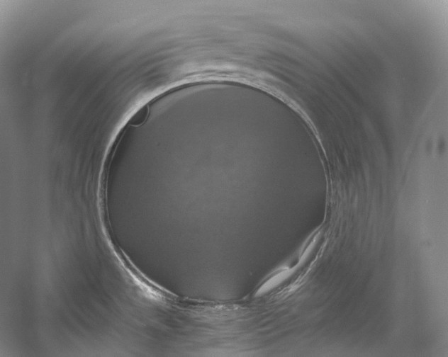 X0000058821533200510171524