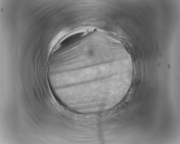X0000058820003200510211941