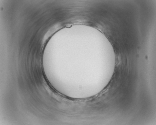 X0000058820004200510211941