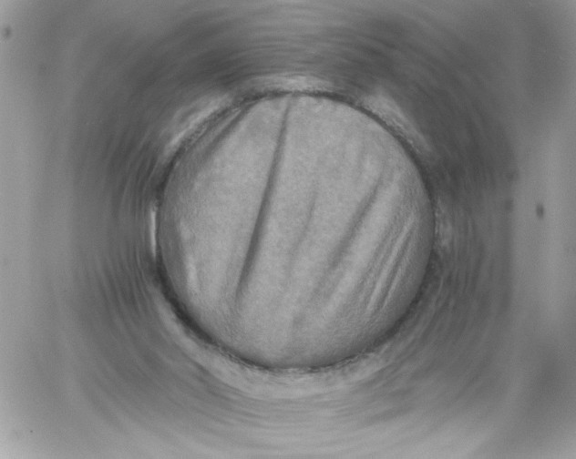 X0000058820014200510211941