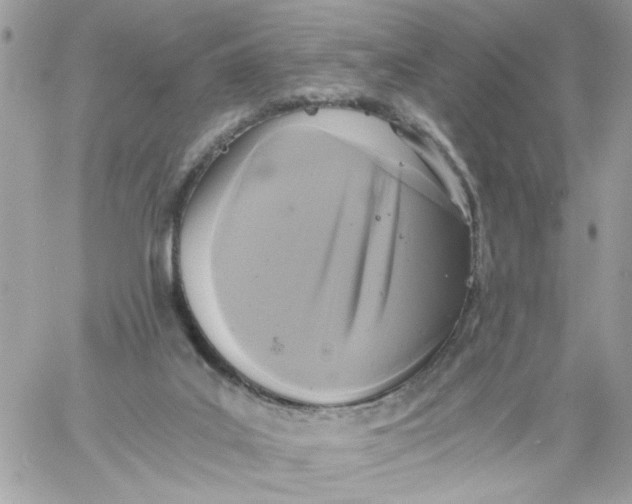 X0000058820019200510211941