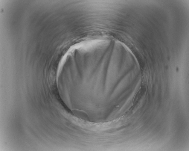 X0000058820043200510211940