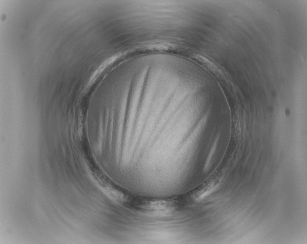 X0000058820064200510211940