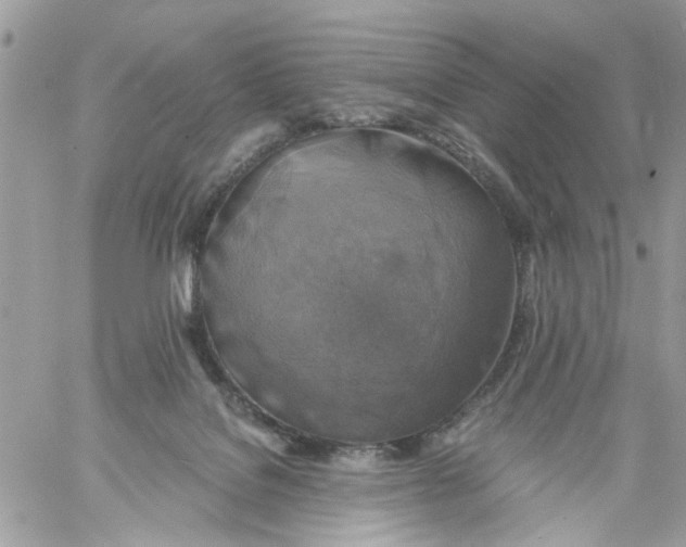 X0000058820076200510211940