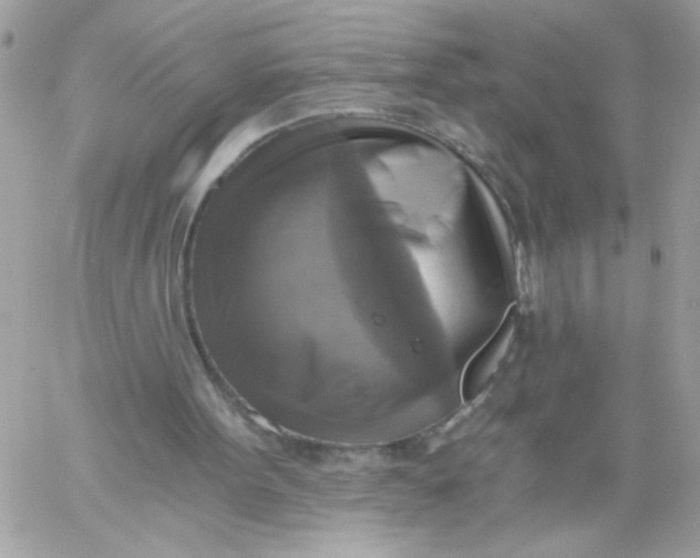 X0000058820099200510211940