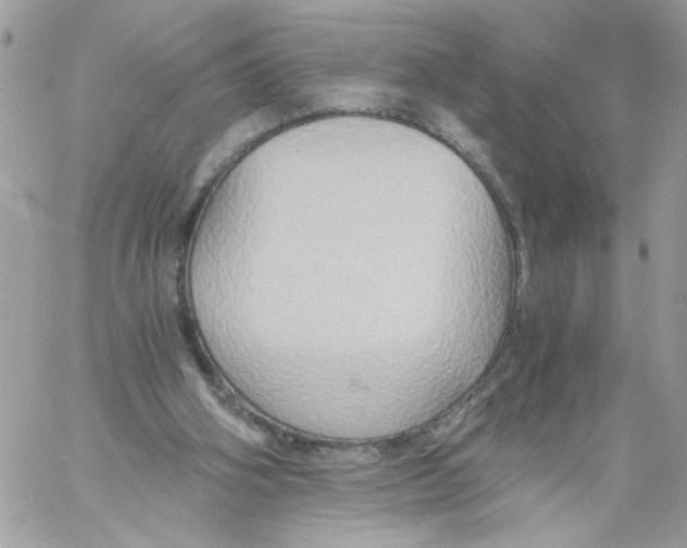 X0000058820106200510211939