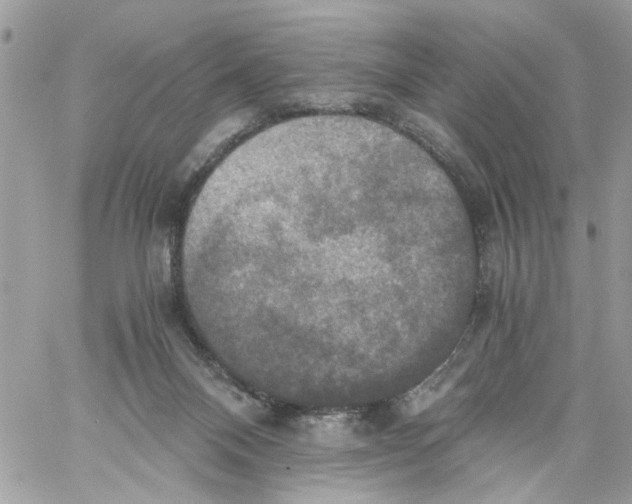 X0000058820120200510211939