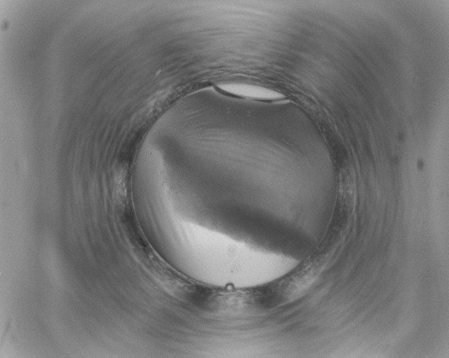 X0000058820127200510211939