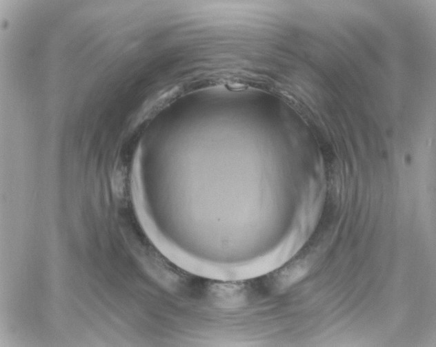 X0000058820139200510211939