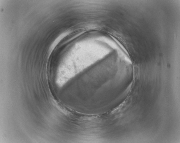 X0000058820147200510211938