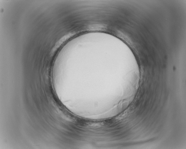 X0000058820155200510211938