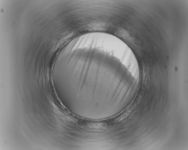 X0000058820202200510211938