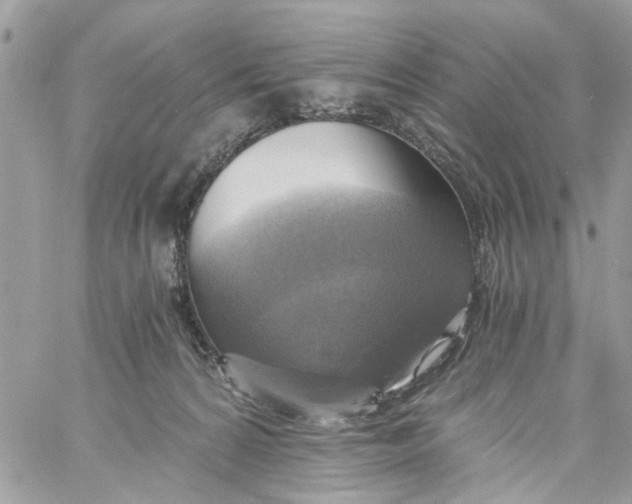 X0000058820224200510211938