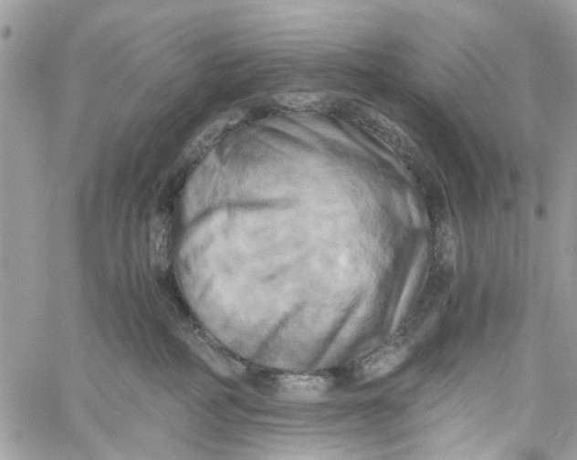 X0000058820234200510211937