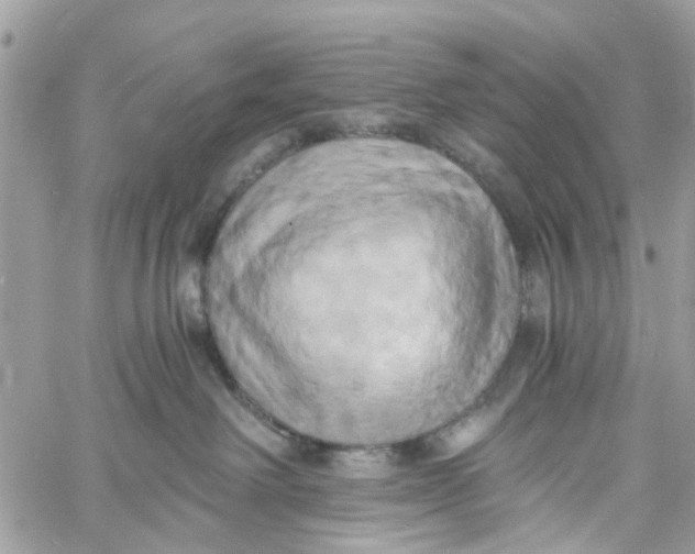 X0000058820238200510211937
