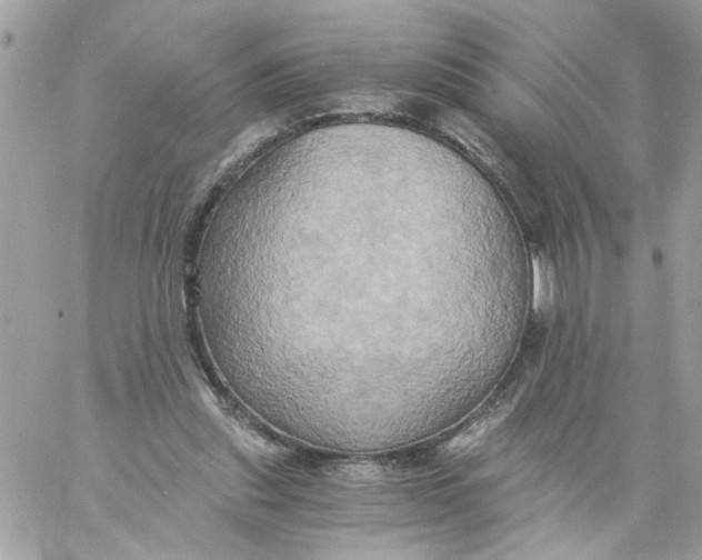 X0000058820253200510211937