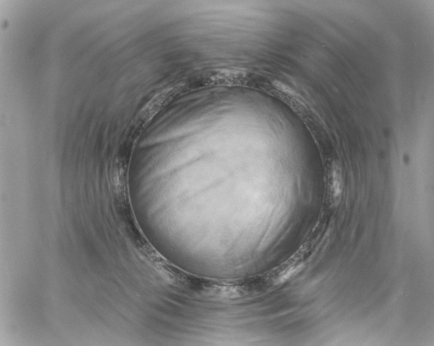 X0000058820276200510211937