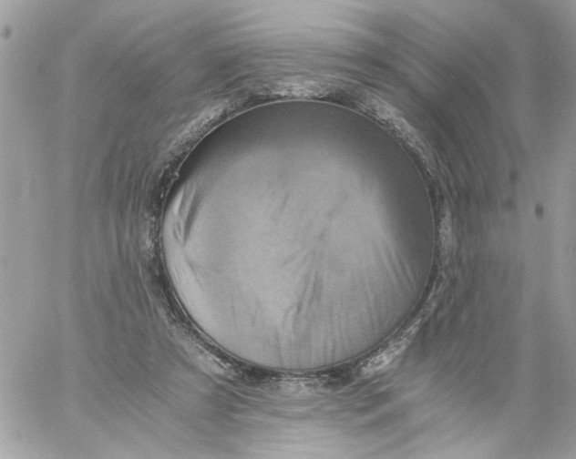 X0000058820305200510211936