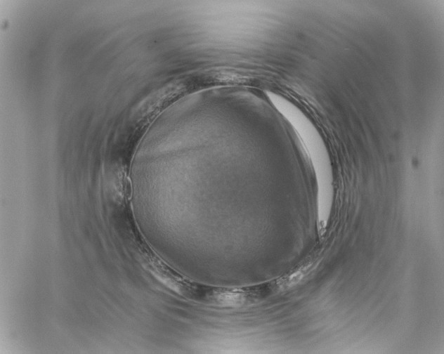 X0000058820325200510211936
