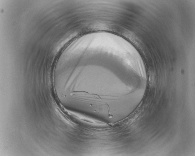 X0000058820390200510211935