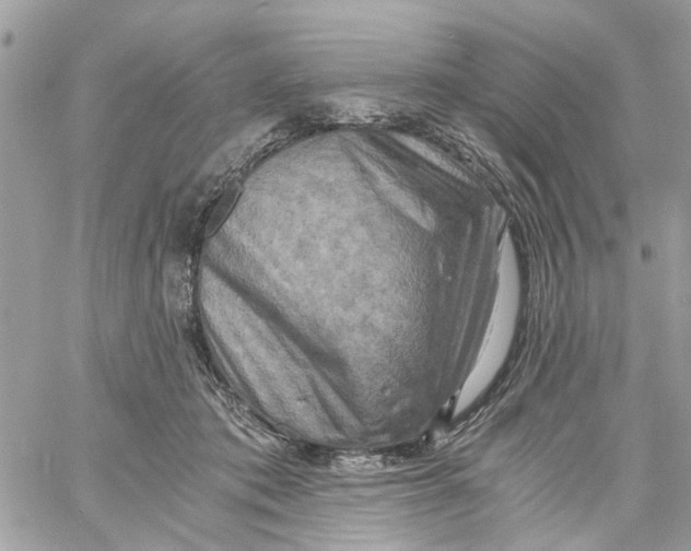 X0000058820413200510211934