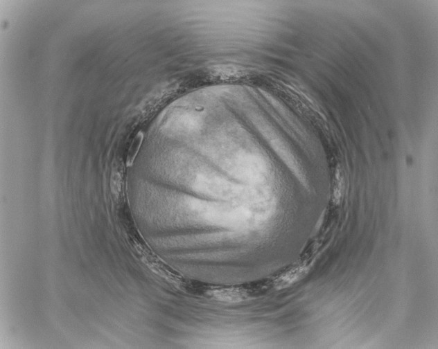 X0000058820417200510211934