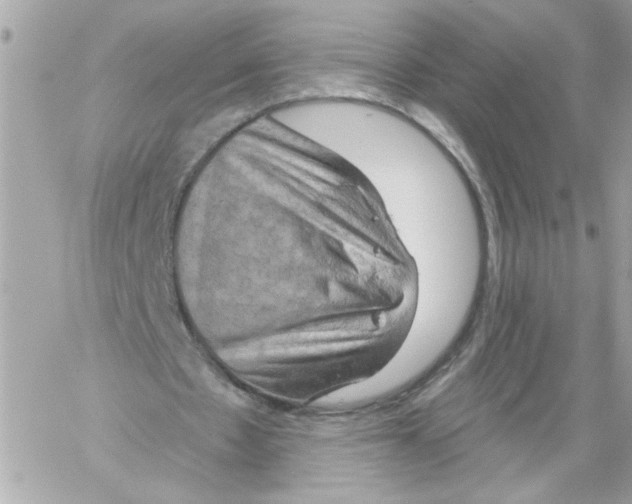 X0000058820481200510211933
