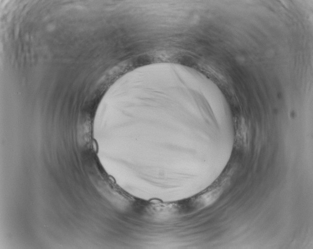 X0000058820526200510211933