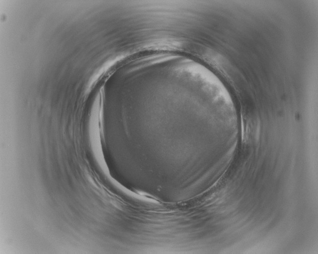 X0000058820531200510211932